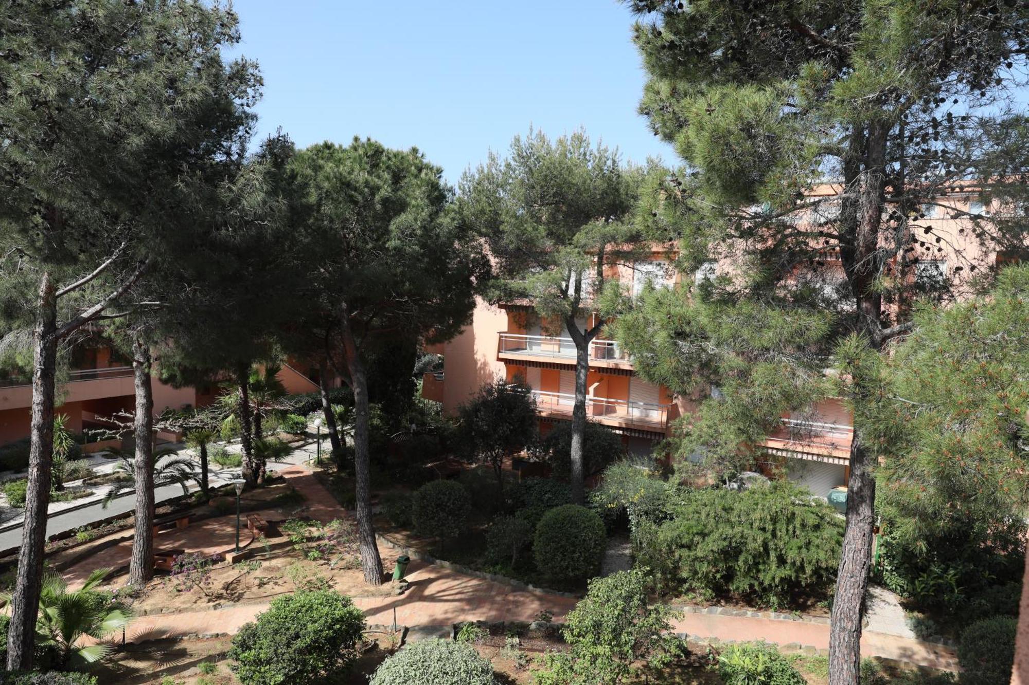 L'Amiraute 150M De La Plage Bormes-les-Mimosas Buitenkant foto